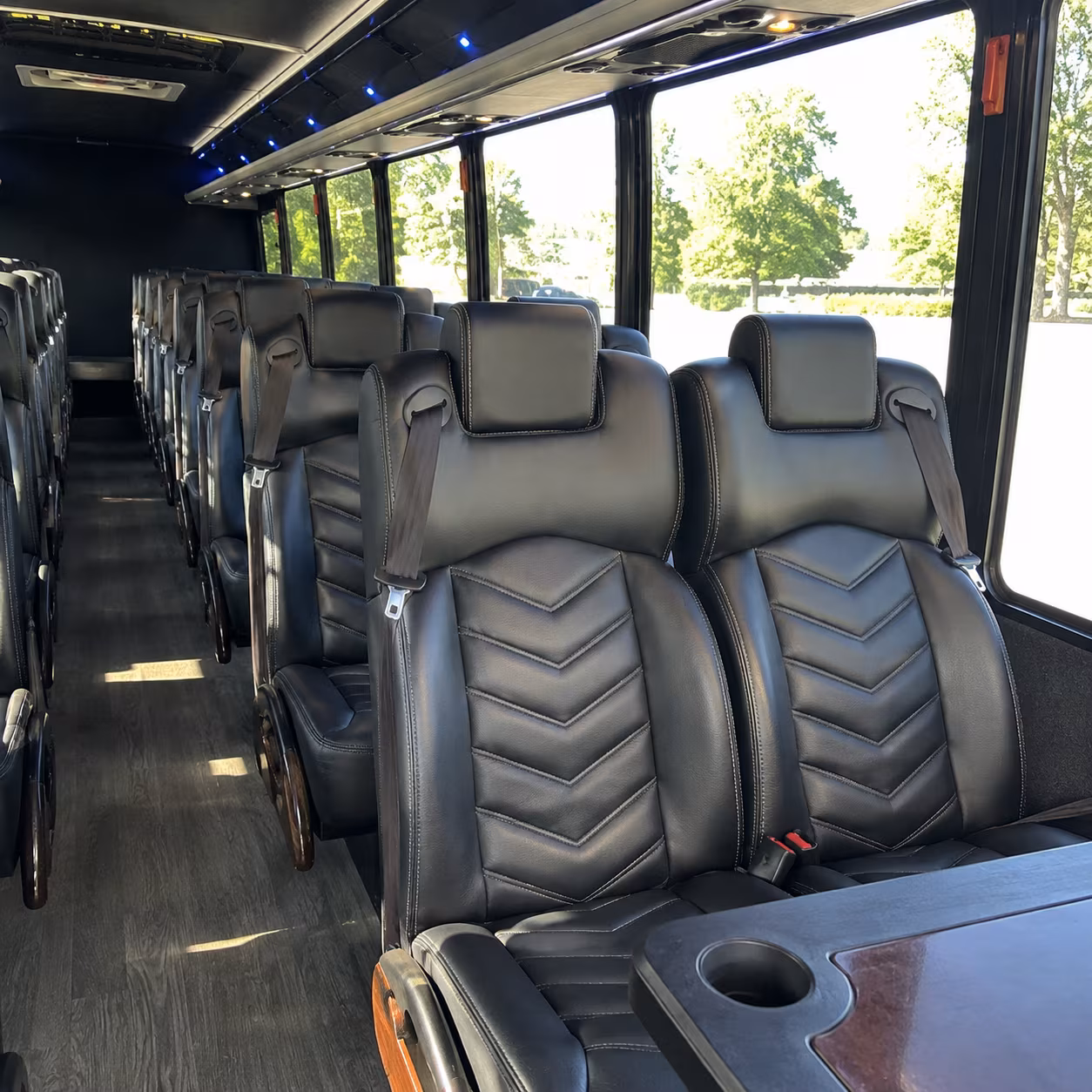 smyrna book group transportation to smyrna concerts