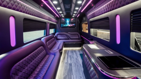 chattanooga sprinter limo rental interior